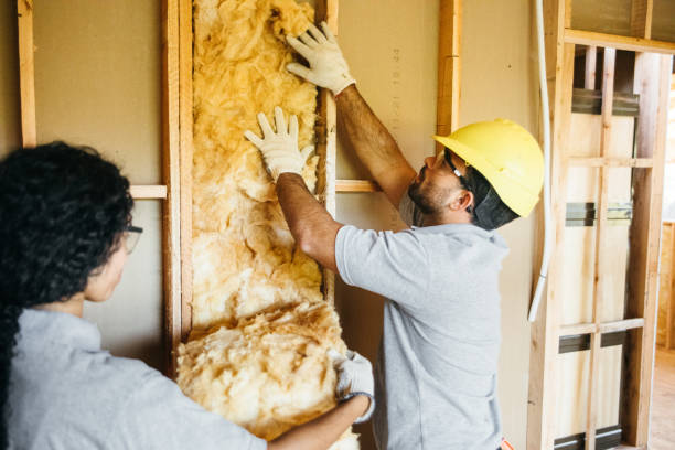 Best Insulation for Commercial Buildings  in Spanay, WA